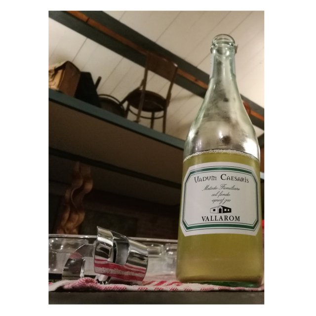 Enonauta/Degustazione di Vino #5 - Vadum Caesaris 2016  di Vallarom. Il metodo familiare come lo intende Filippo Scienza di Vallarom.
