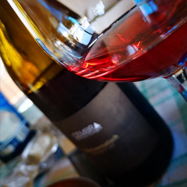 Enonauta/Degustazione di Vino #033 - wine review - Schiava 2017 di Cembra -  Ti appassiona con la forza di un discorso semplice, senza doppi fondi, ma al contempo esaustivo e franco.