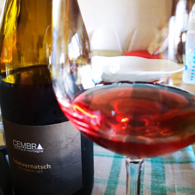 Enonauta/Degustazione di Vino #033 - wine review - Schiava 2017 di Cembra -  Ti appassiona con la forza di un discorso semplice, senza doppi fondi, ma al contempo esaustivo e franco.