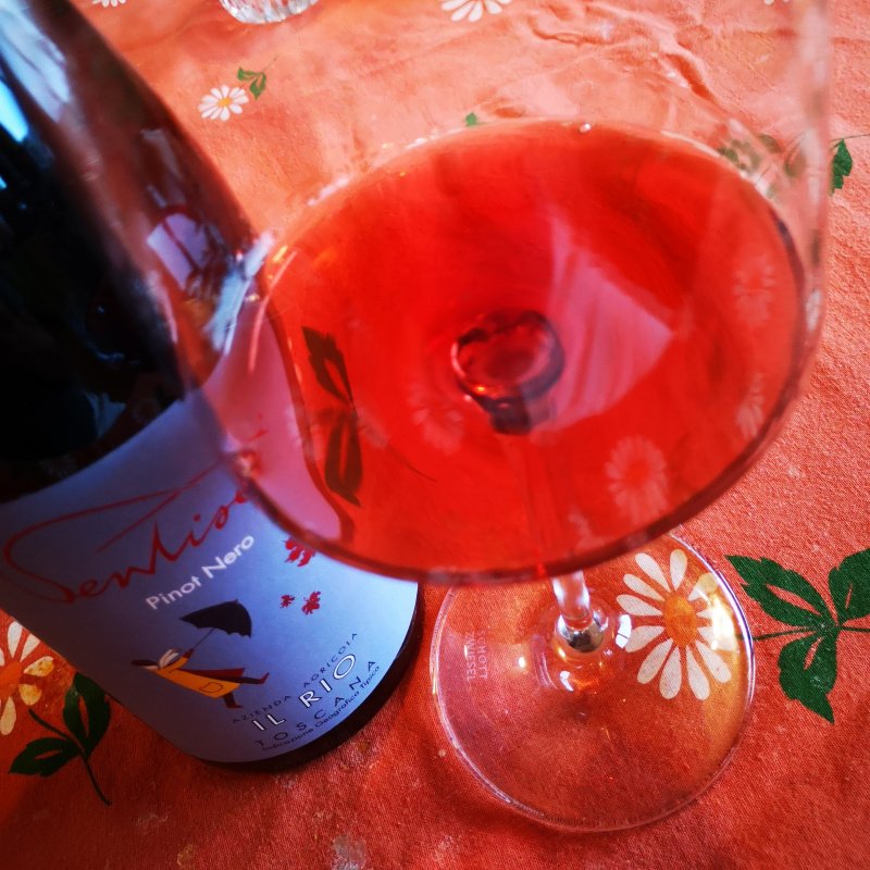 Enonauta/Degustazione di Vino #095 - review - Ventisei Pinot Nero 2015 - Il Rio | Pinot Nero Mugellano che fa bella figura