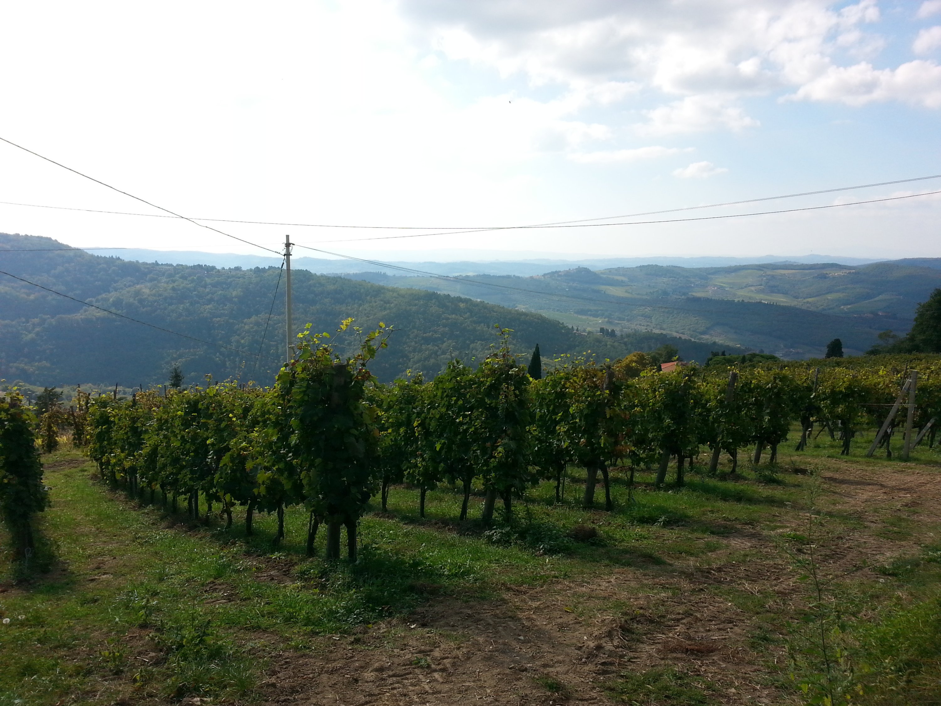 Paesaggio Terroir