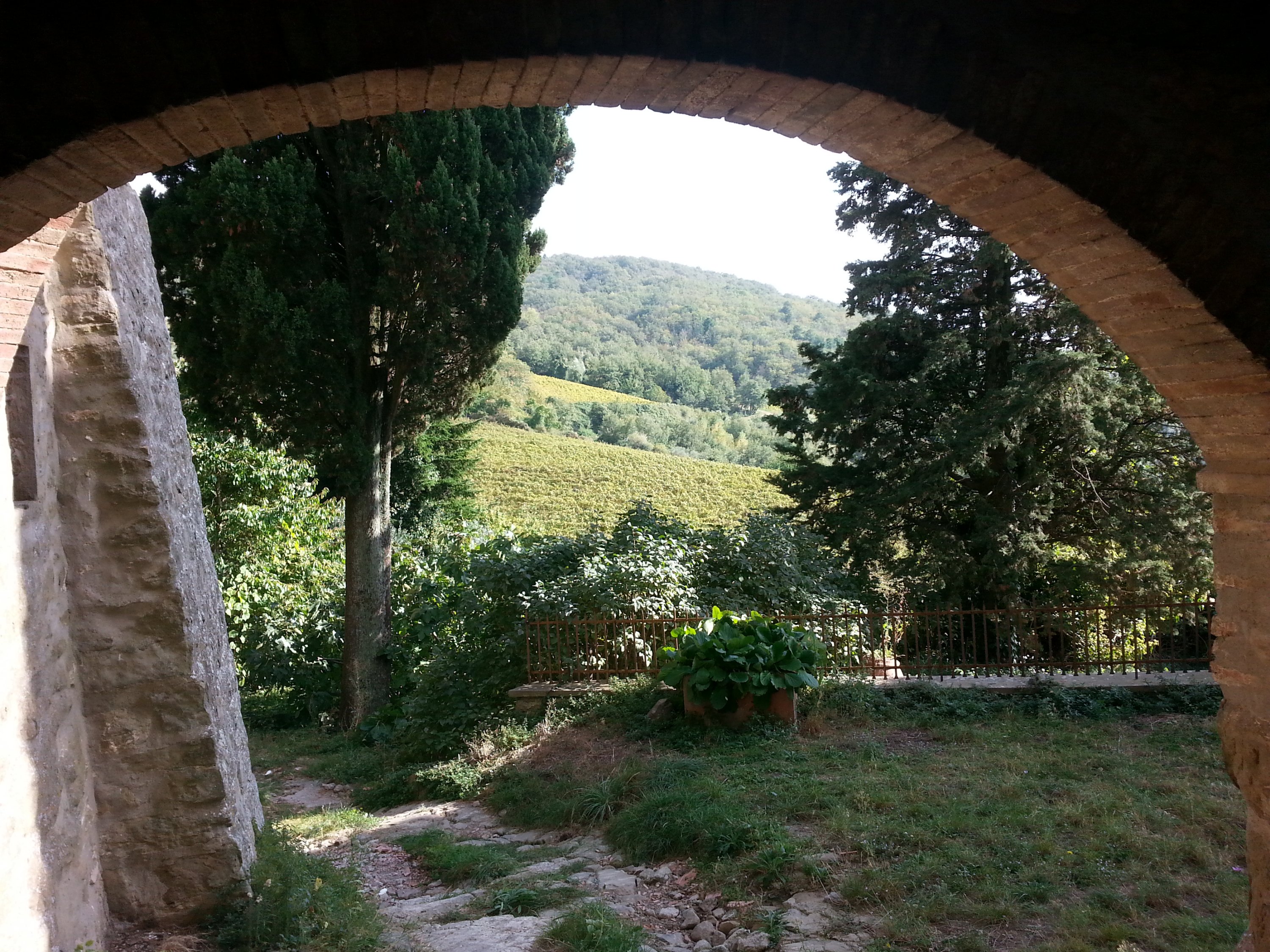 Lamole Vino Paesaggio Terroir