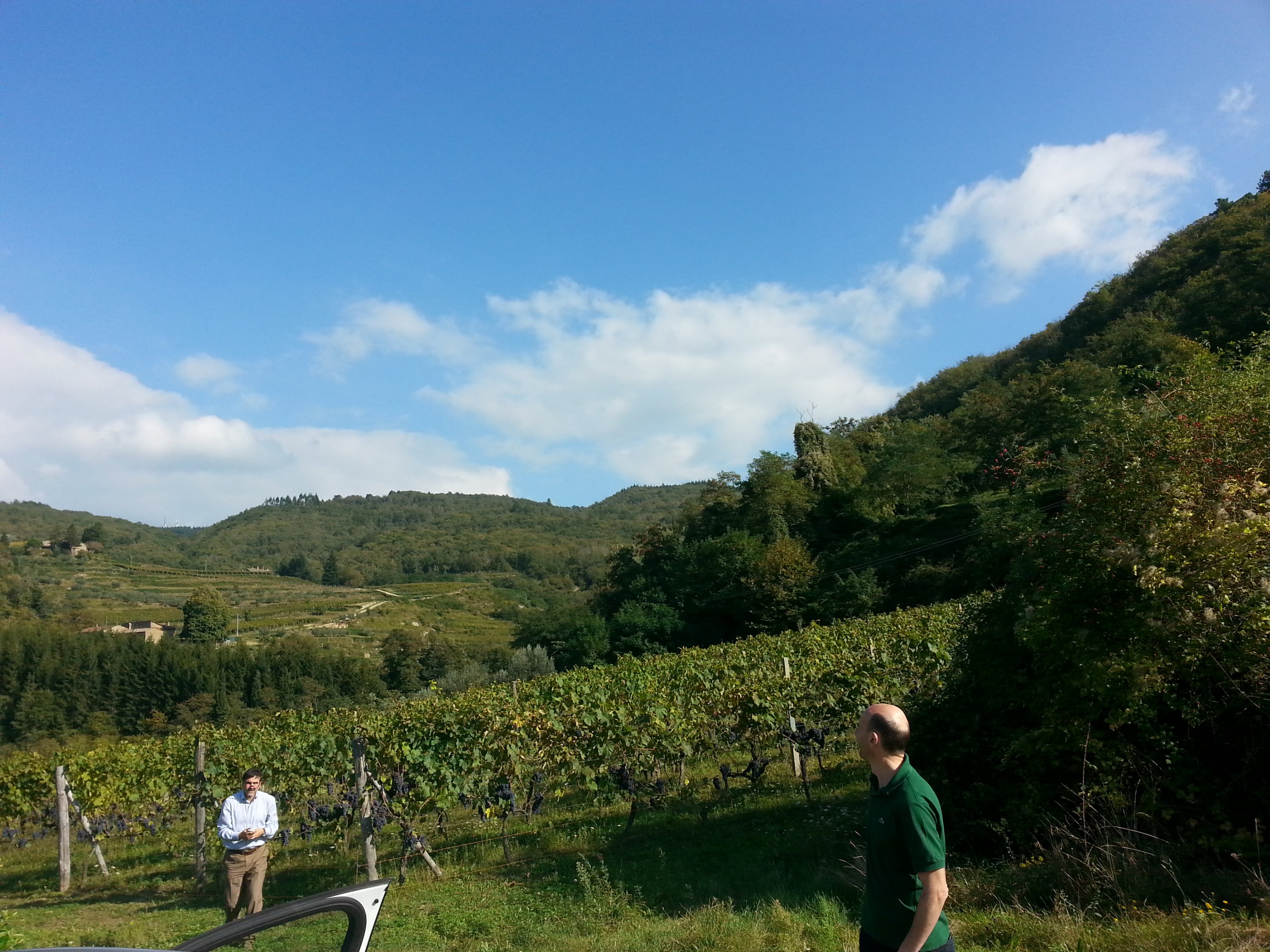 Enotour #001 - Lamole | Vino e Paesaggio circa 3 miglia toscane a scirocco di Greve, Diocesi di Fiesole. Trovasi sulla pendice settentrionale del Poggio delle Stinche, fra i due primi rami della fiumana di Greve, nella strada pedonale che guida sulla cresta del monte di Cintoja. I vigneti che danno il buon vin di Lamole cotanto lodato, sono piantati fra i macigni di cotesto poggio