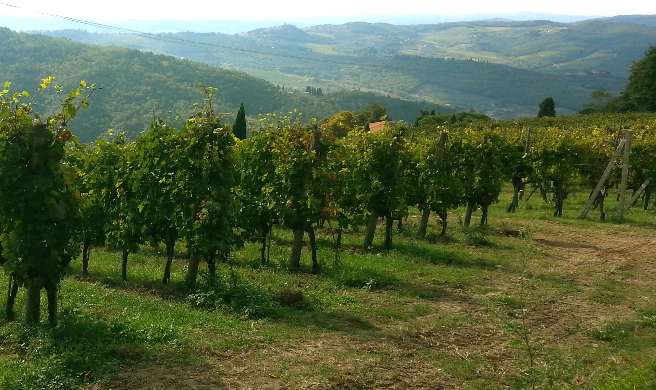 Enotour #001 - Lamole | Vino e Paesaggio circa 3 miglia toscane a scirocco di Greve, Diocesi di Fiesole. Trovasi sulla pendice settentrionale del Poggio delle Stinche, fra i due primi rami della fiumana di Greve, nella strada pedonale che guida sulla cresta del monte di Cintoja. I vigneti che danno il buon vin di Lamole cotanto lodato, sono piantati fra i macigni di cotesto poggio