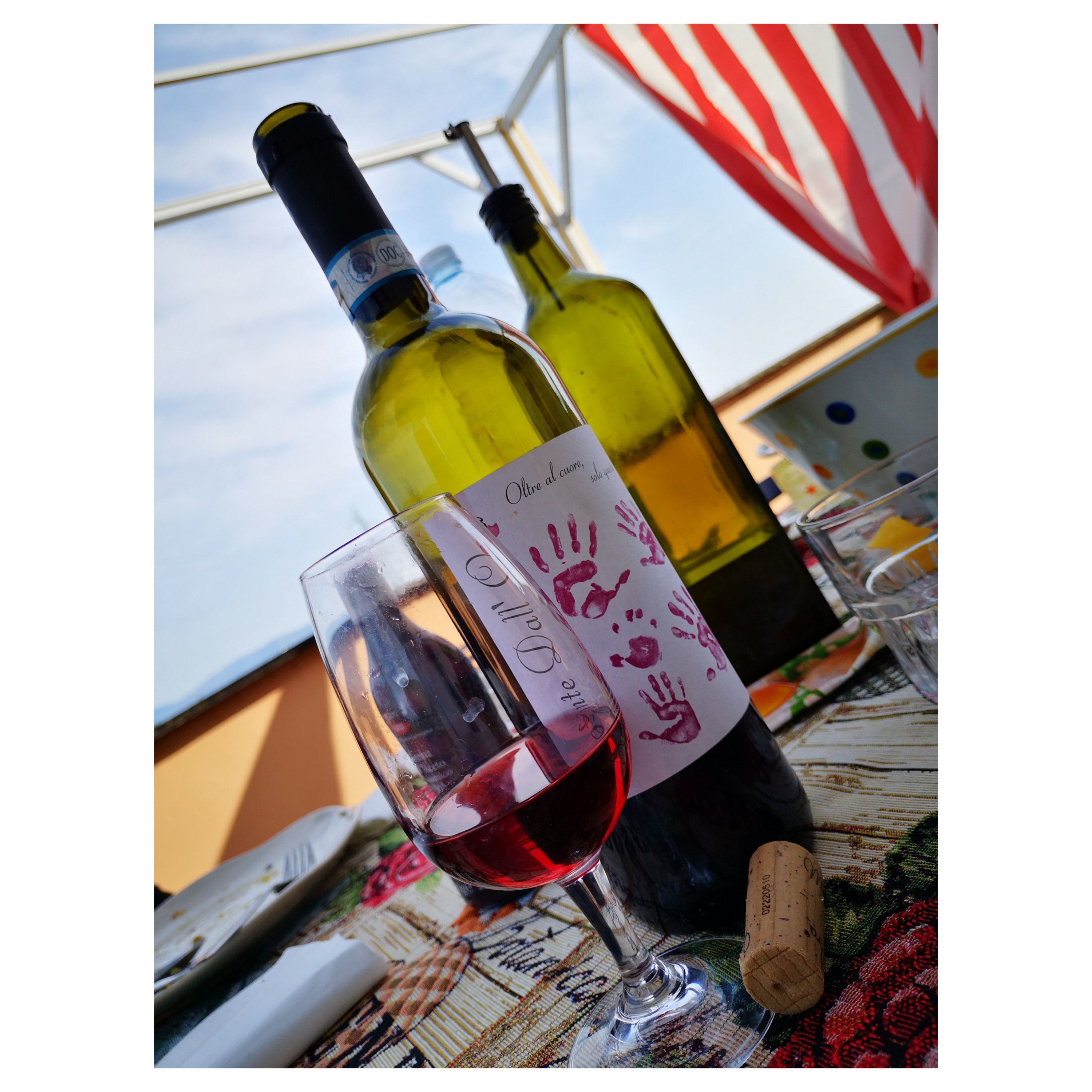 Enonauta/Degustazione di Vino #129 - review - Valpolicella Classico Saseti 2019 - Monte Dall'Ora | vitalità e spensieratezza