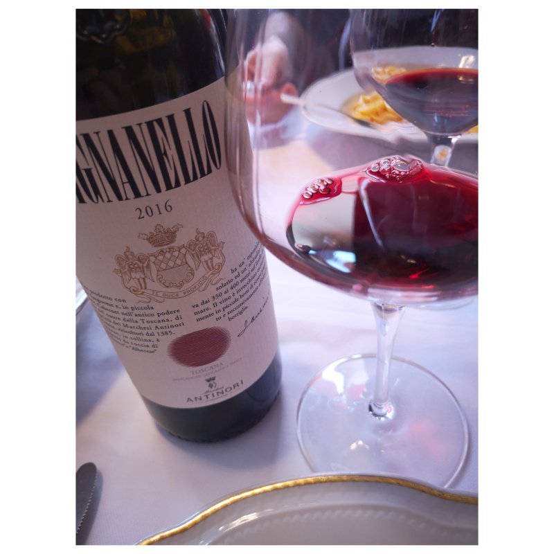 Enonauta/Degustazione di Vino #153-156 - review -  Tignanello 2016/Turriga 2015/Agrapart les 7 crus/Macon Verze 2018 - Domaine Leflaive | A pranzo da Amerigo a Savigno