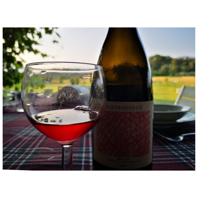 Enonauta/Degustazione di Vino #157 - review -  Etna Rosso 2019
Pietradolce | molto vitale, tirato, asciutto, dà l'impressione di essere stato pensato e poi realizzato in modo consequenzialmente felice