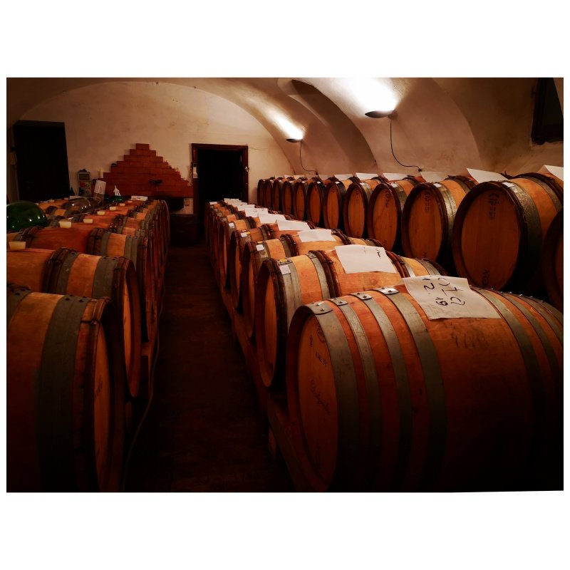 Enonauta/Degustazione di Vino #160 - review -  Pinot Nero 2016 - Dalzocchio | Vino apprezzabile nella sua giovane esuberanza