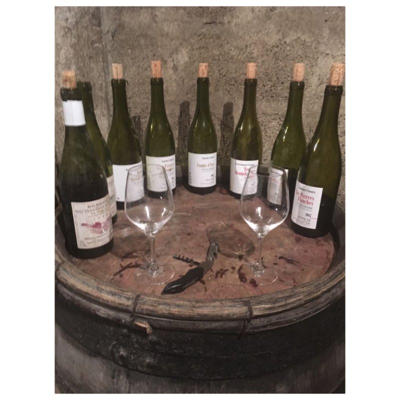 Enonauta/Degustazione di Vino #175 - Emmanuel Giboulot ed il suo Les Pierres Blanc 2017 | Chardonnay di grande finezza