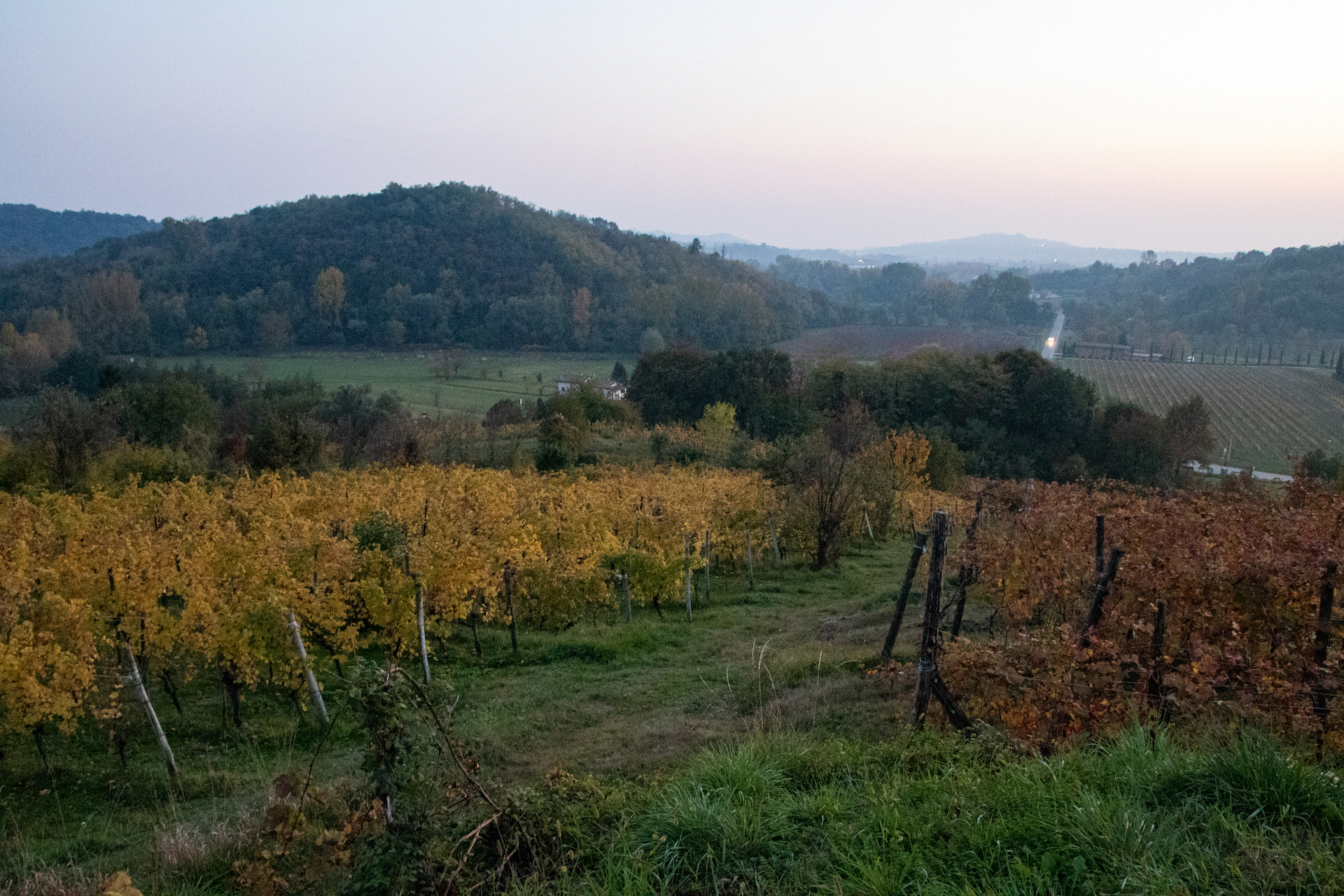 Enotour #002 - Una trasferta ai confini del vino | Friuli, una terra di paradossi | Oslavia/Cividale La Castellada Primosic Princic Flaibani