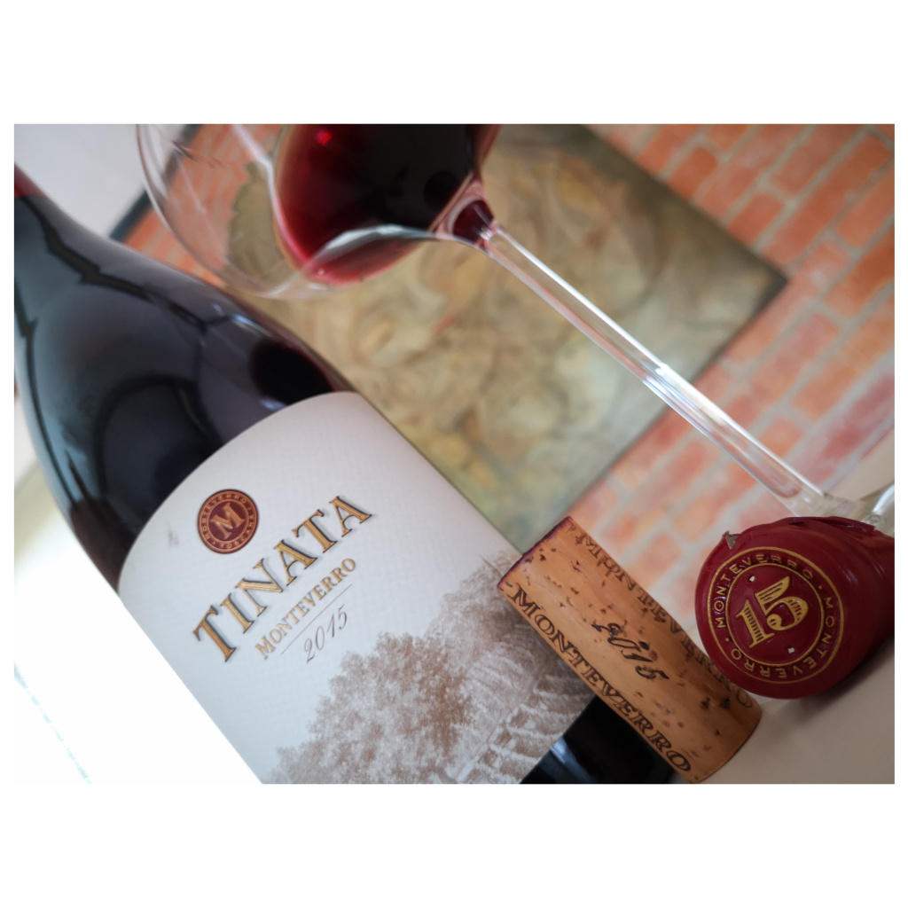Enonauta/Degustazione di Vino #256 - review - Tinata 2015 - Monteverro | Il costo è importante, ma il vino è in effetti molto gratificante