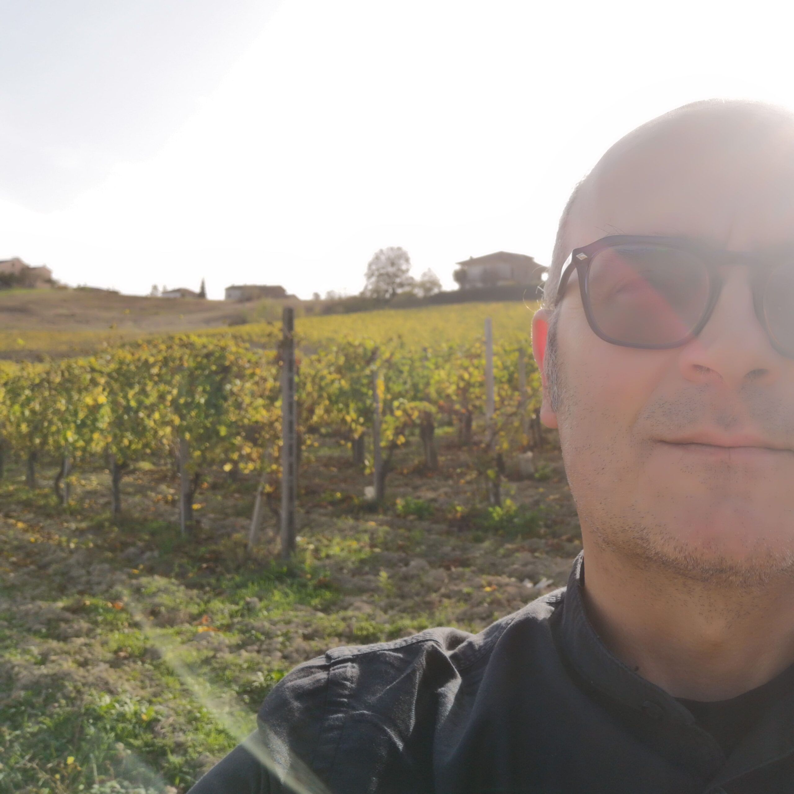 Enonauta tra le vigne del Monferrato 