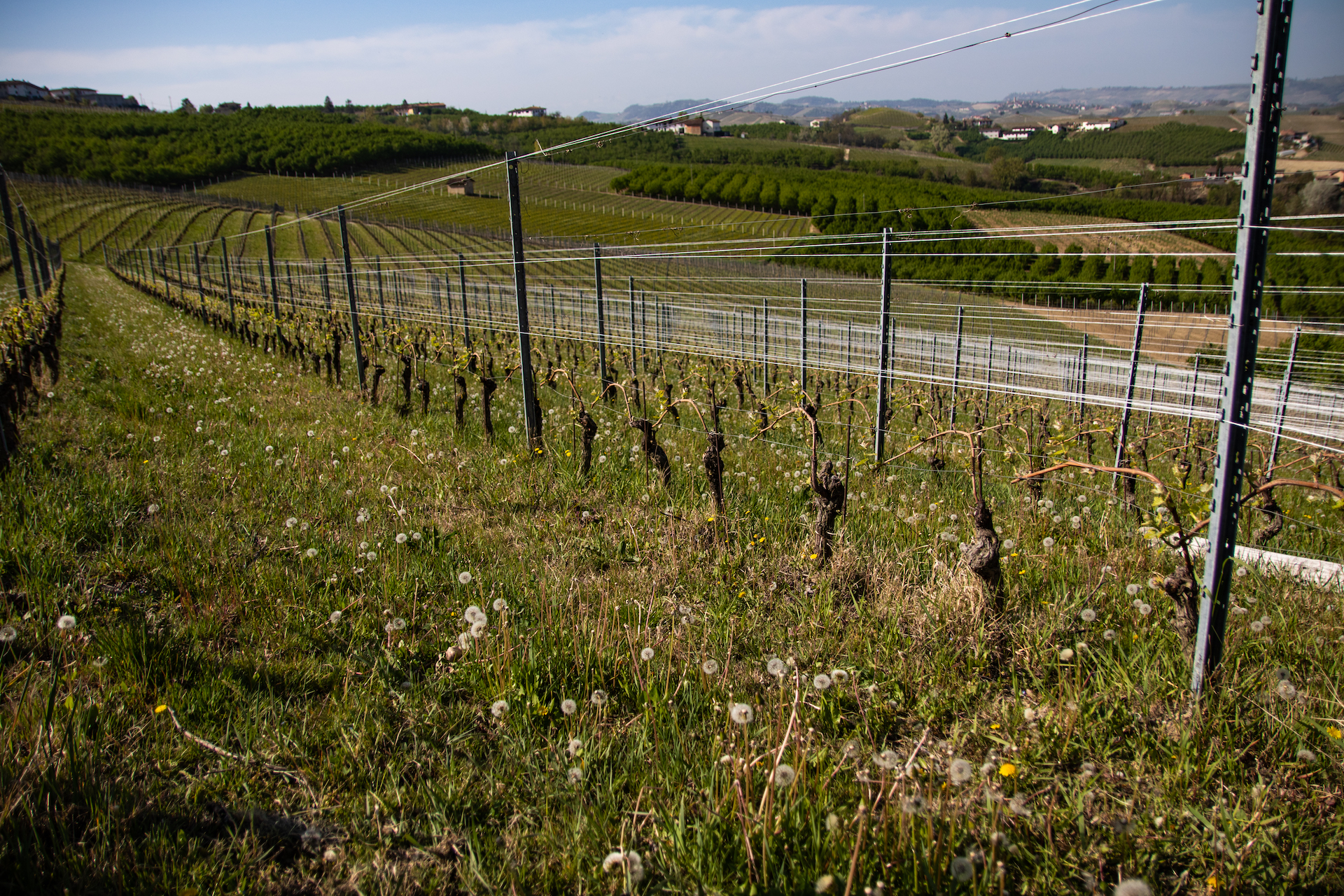 Enotour #003 - Langhe: la prima volta non si scorda mai | Sobrino, Morra, Prandi, Giacomo Fenoccho, Guido Porro. 