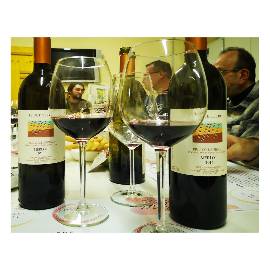 Enonauta/Degustazione di Vino #276/287 - review - 12 bottiglie dell'azienda Le Due Terre di Prepotto. Sacrisassi Rosso, Bianco, Merlot e Pinot Nero