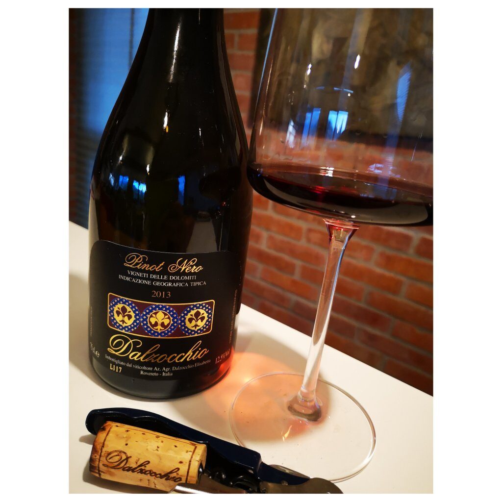 Enonauta/Degustazione di Vino #336 - review - Pinot Nero 2013 - Dalzocchio | Non è un vino facile. È un vino-bosco...