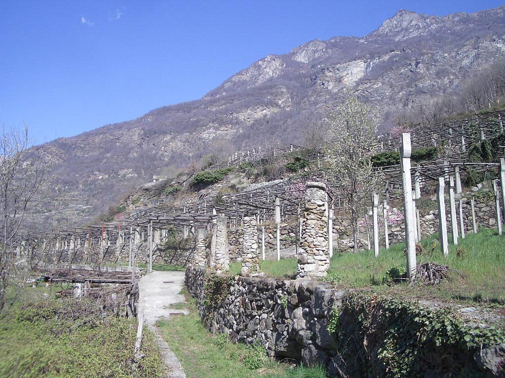 I Luoghi del Vino - Carema (Torino - Piemonte) ultimo pezzo di Piemonte prima di oltrepassare il confine con la Valle d'Aosta. Ed è un Vino