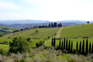 I luoghi del Vino - Rùfina
una paesaggio della Rùfina - foto di Simone Molinaroli