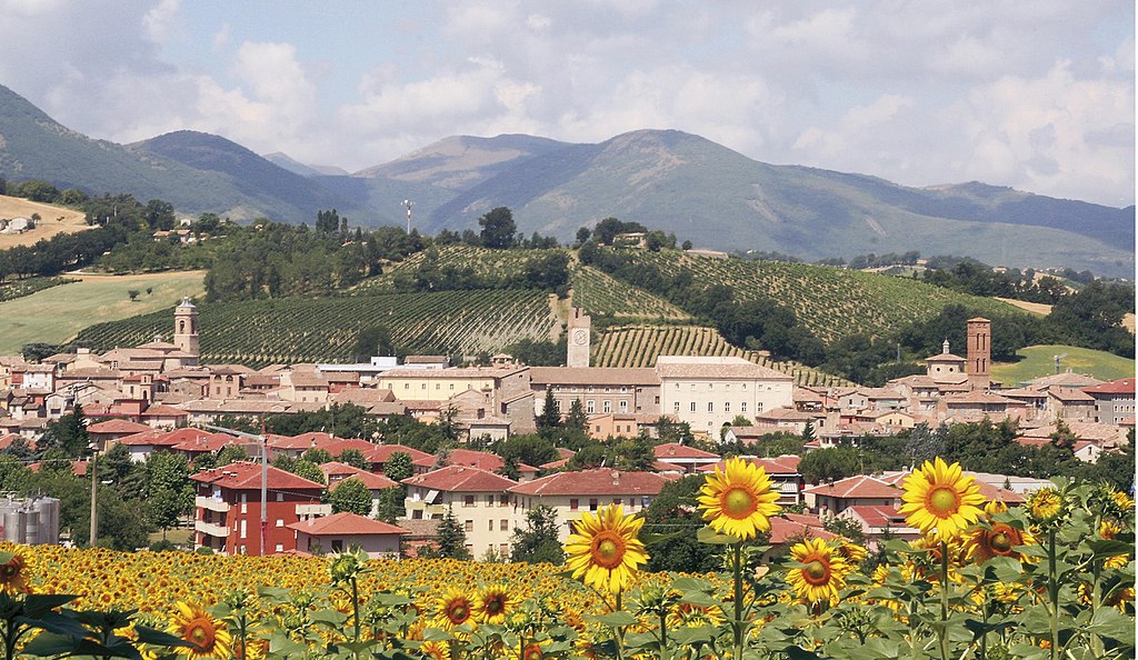 I luoghi del vino | Matelica - La zona è famosa per il Verdicchio di Matelica, un vino bianco pregiato e rinomato a livello internazionale