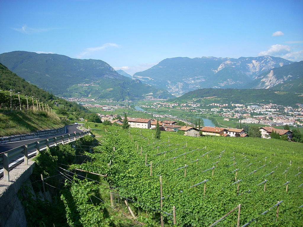 Vallagarina - Panorama