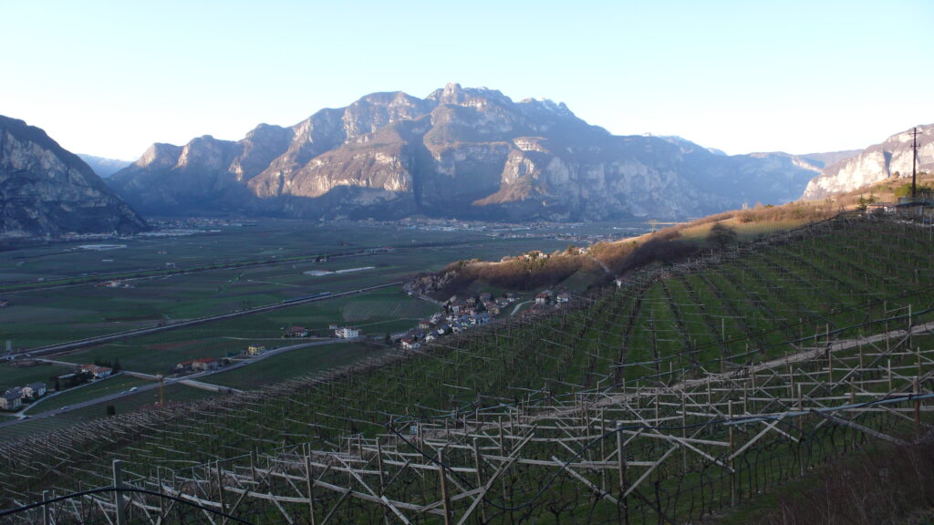 i Luoghi del Vino | Mezzolombardo e il Campo Rotaliano - a Nord del Trentino, alle porte dell’Alto Adige, pianura alluvionale...