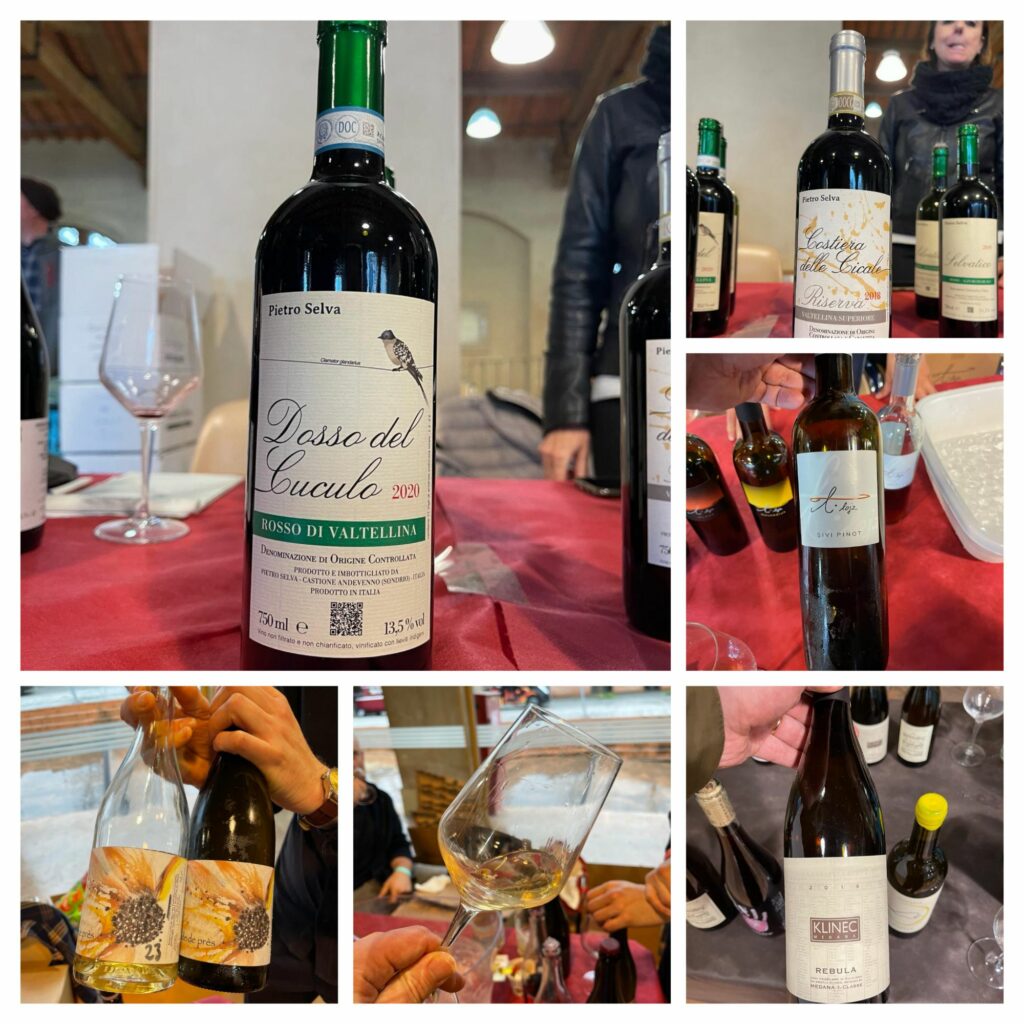 Eventi Vino - Vinipendenti Pisa 2024 - promozione dei vignaioli naturali, qualunque cosa con questo termine ci si prefissi di rappresentare.