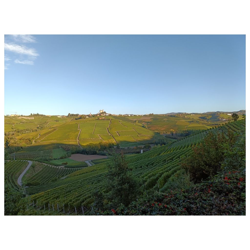 Enotour #006 - Elio Sandri,  Vignaiolo di Monforte d'Alba | A Cascina Disa si parla di cose di cui raramente si parla durante le visite alle cantine. Si gode, ma al contempo s'impara. Utile e dilettevole. Elio Sandri è un uomo simpatico e generoso che fa grandissimi vini. Purtroppo non si possono acquistare, ma nel computo dell'intera esperienza diventa veramente un dettaglio.