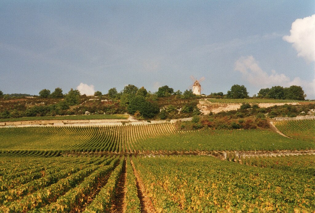 Landscape between Chassagne-Montrachet and Santenay from Rte de Chassagne, with Moulin Sorine